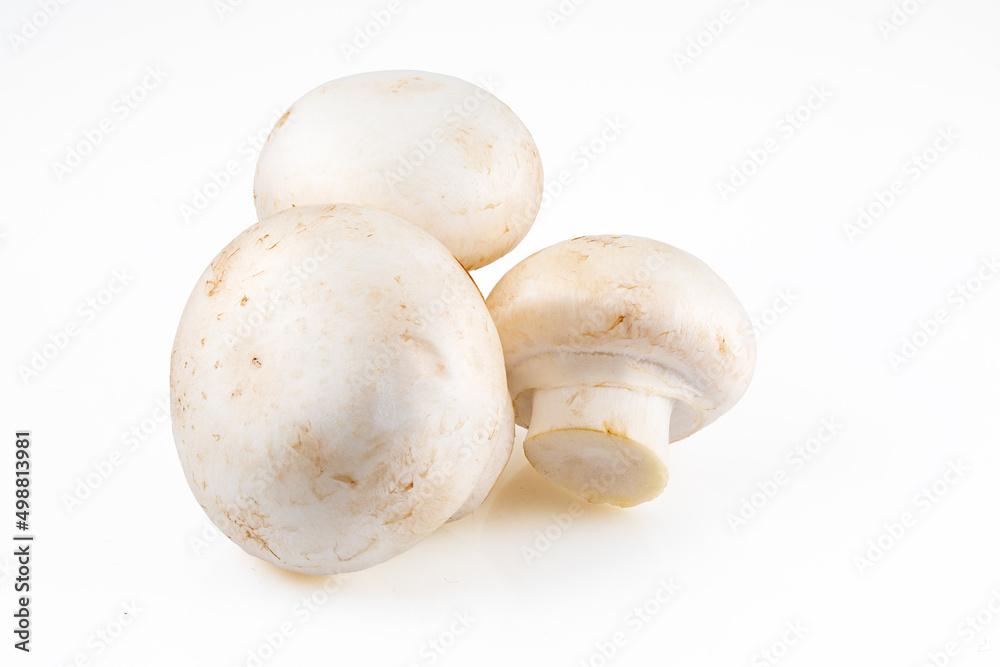 Champignon mushroom on white background. Full depth of field. Close-up