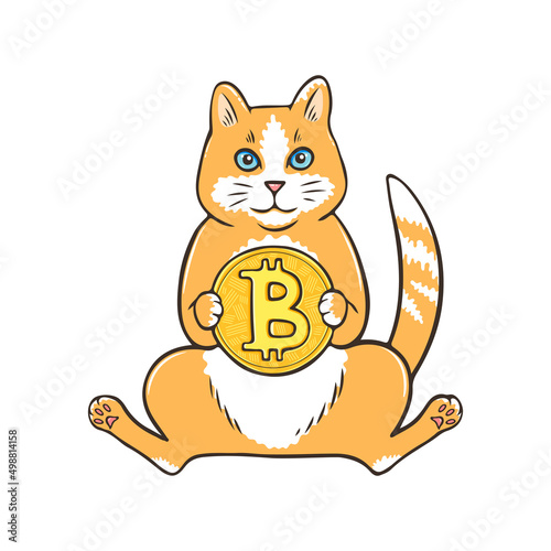 Obraz na plátně Funny orange cat holding Bitcoin, hand drawn cat with crypto coin design