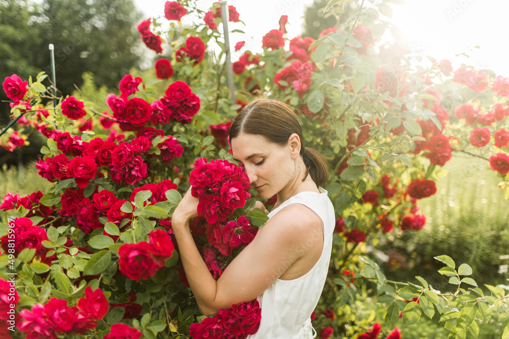 woman in the rose garden. Big bush of red roses