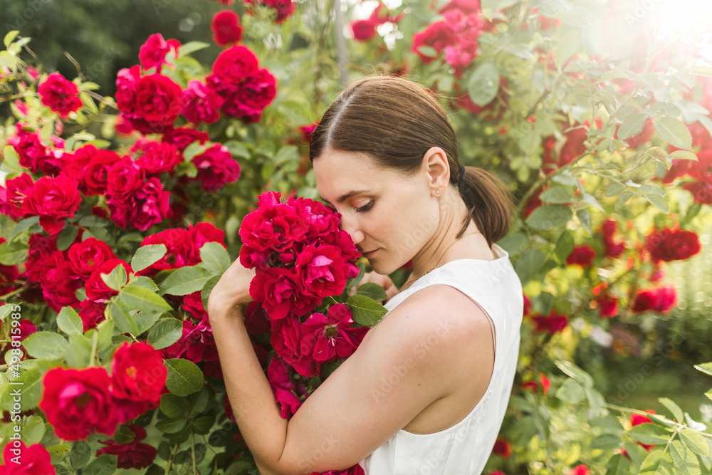 woman in the rose garden. Big bush of red roses