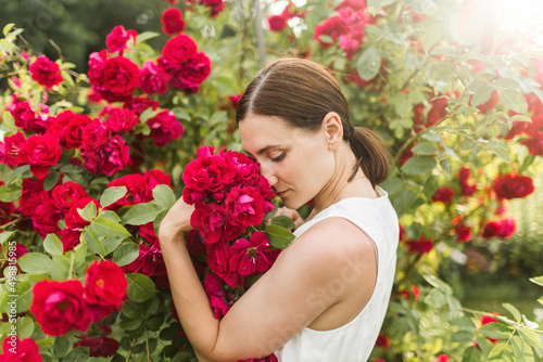 woman in the rose garden. Big bush of red roses