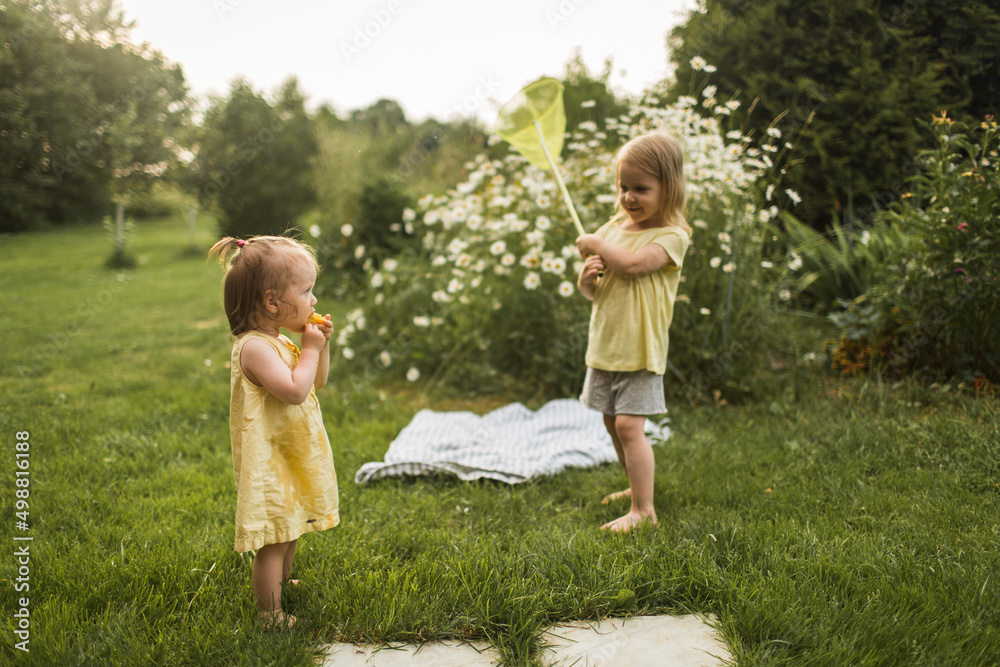 Children play in nature with a net
