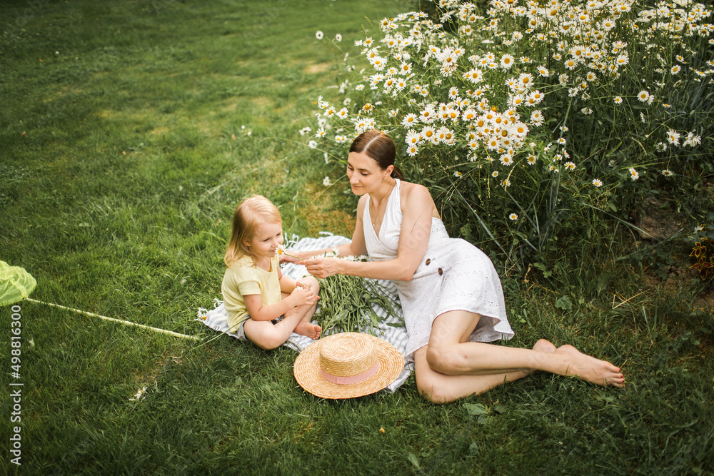 mother plays with her daughter, relax, collect daisies