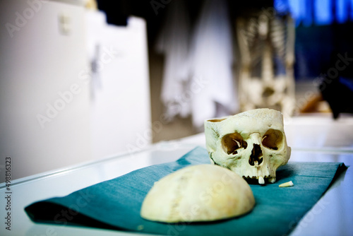 Картината върху платно Department of Anthropology Thanatology Odontology of forensic criminal