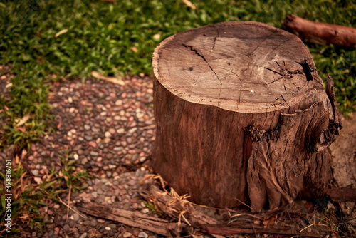 Wood log, Stump, tree trunk isolated in the garden. Selective focus, horizontal