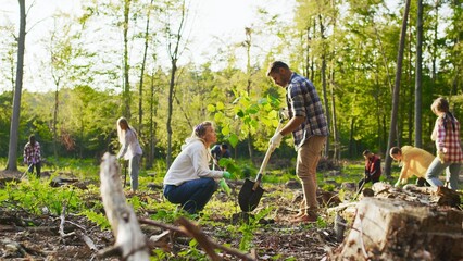 Caucasian man and woman environmental volunteers planting trees together and with multicultural people at the background. Reforestation concept