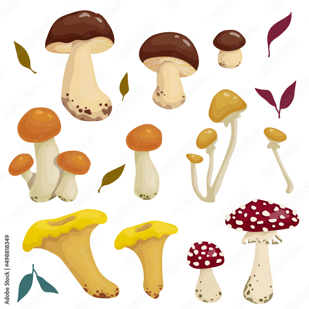 Set of autumn leaf mushrooms.Cartoon vector graphics.