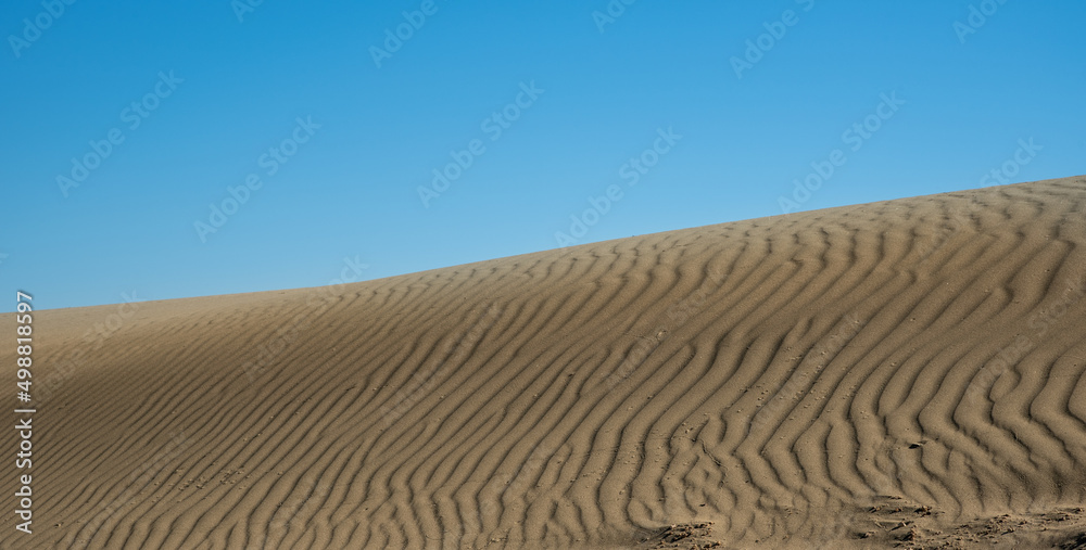 Naklejka premium Sand dry dunes against blue sky. Desert land