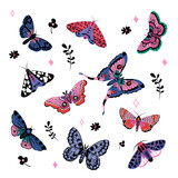 Collection of elegant exotic butterflies and moths isolated on white background. Set of tropical flying insects with colorful wings. Bundle of decorative design elements. Flat vector illustration.