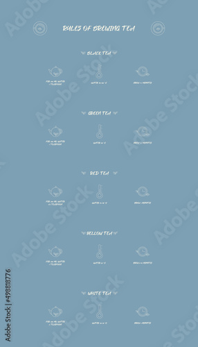 Tea brewing instructions. How to brew tea properly. Tea ceremony infographic.