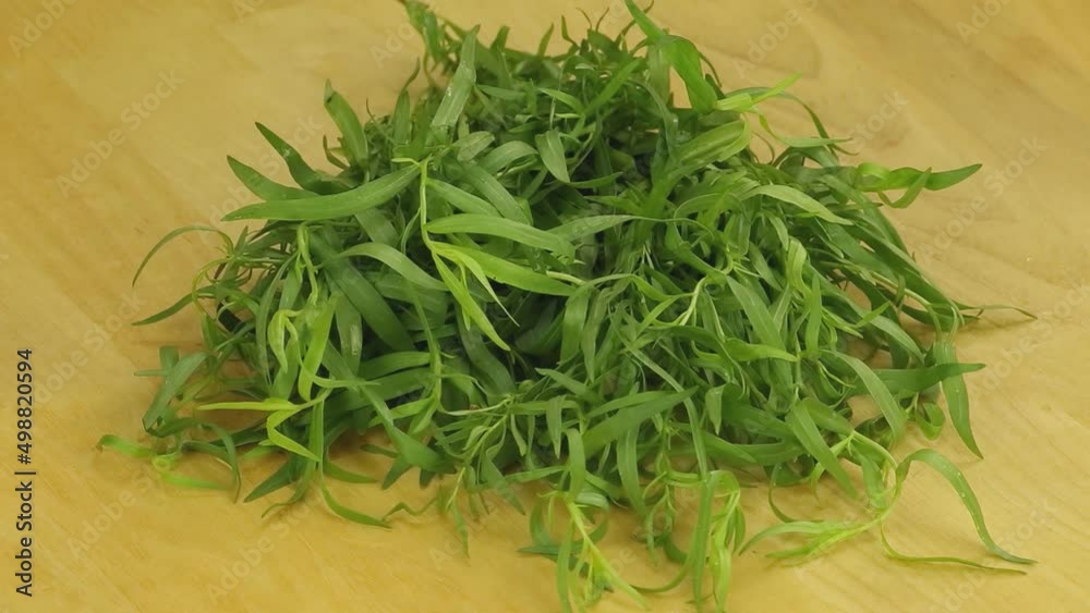 Beam tarragon on a wooden boards background Beam tarragon on a wooden boards background