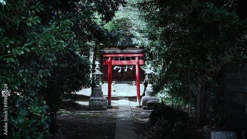 森の中の鳥居