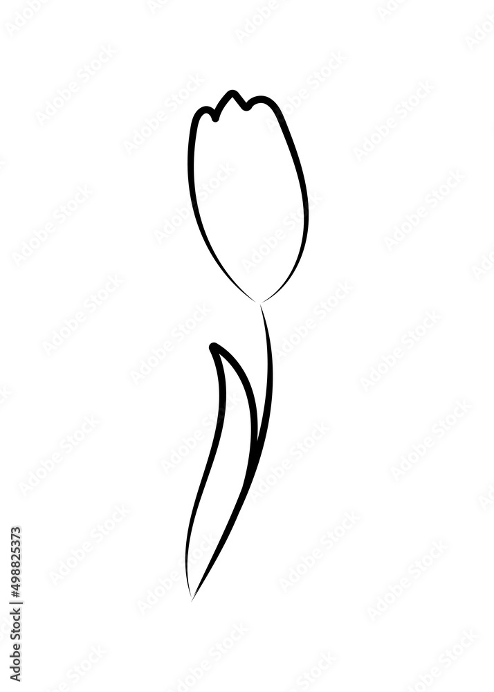 Vector linear simple botanical poster. Abstract art lines, wall paintings, flowers, leaves, plants. Modern design, doodle shapes, cover template, printing of T-shirts, postcards, banners and more. Vector linear simple botanical poster. Abstract art lines, wall paintings, flowers, leaves, plants. Modern design, doodle shapes, cover template, printing of T-shirts, postcards, banners and more.