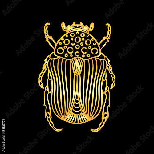 A golden beetle in a linear style. Linear vector illustration of a golden beetle.