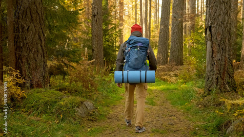 Young Man Hiking in Forest in Autumn. Active Healthy Caucasian Tourist With Backpack Walking in sunshine Wood. Male Traveler With Walks Along Forest Rear View, Leisure, bio-tourism.