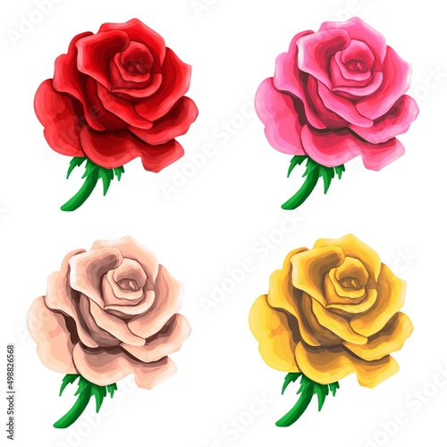 Rose Red Yellow Tea and Pink illustration