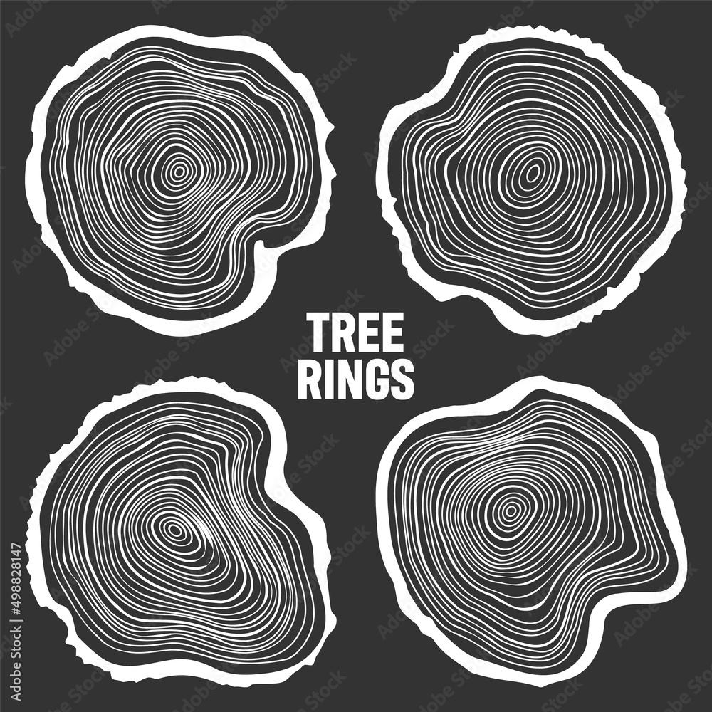 Fototapeta premium White round tree trunk cuts, sawn pine or oak slices, lumber. Saw cut timber, wood. Wooden texture with tree rings. Hand drawn sketch. Vector illustration