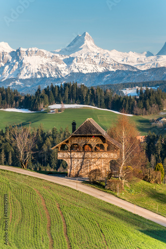 spring in Emmental with the mighty snowcovered Schreckhorn and Finsteraarhorn photo