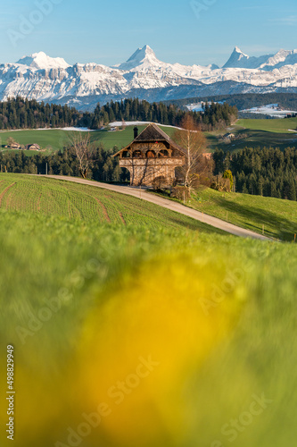 spring in Emmental with the mighty snowcovered Schreckhorn and Finsteraarhorn photo