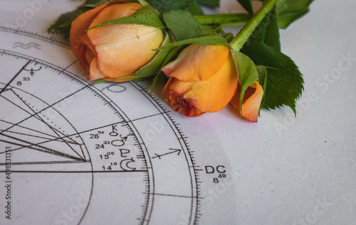 Close up of printed astroogy chart with Moon, Pluto and Mars planets; two small orange roses in the background