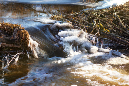 Ice melts on the river in spring. The beaver dam is broken and a stream of water overflows the dam.