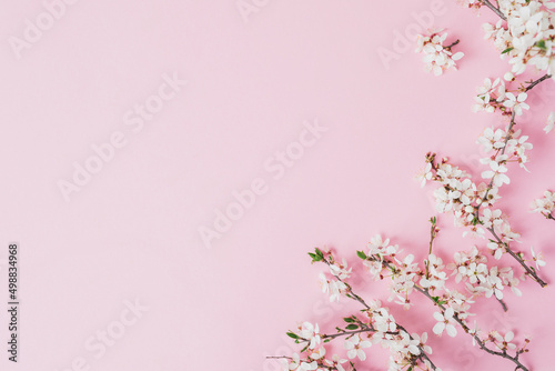Spring concept made of branches with fruit spring flowers on pink. Flat lay