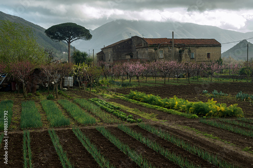 Agriturismo in un piccolo paese del sud Italia  in montagna. Piccolo orto con erbe aromatiche e alberi da frutto.