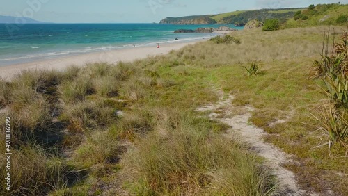 People enjoying the sun, sand and ocean on a Beautiful New Zealand beach photo