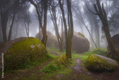 Valokuvatapetti A path in the forest with mossy rocks and trees with fog in Sintra moutain