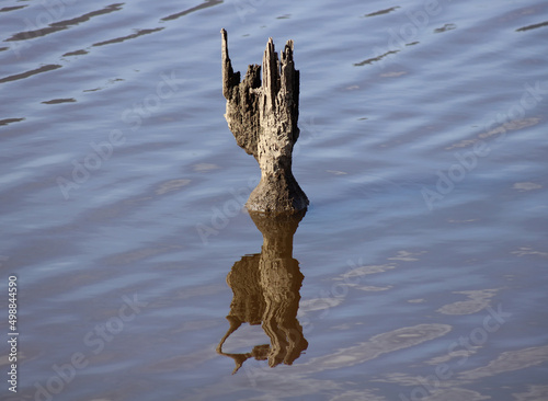 Old wooden pile reflected in the water surface