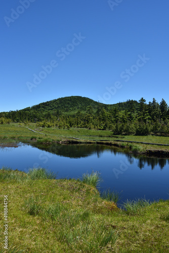 Fototapeta Naklejka Na Ścianę i Meble -  lots of lakes in wetland at high altitude