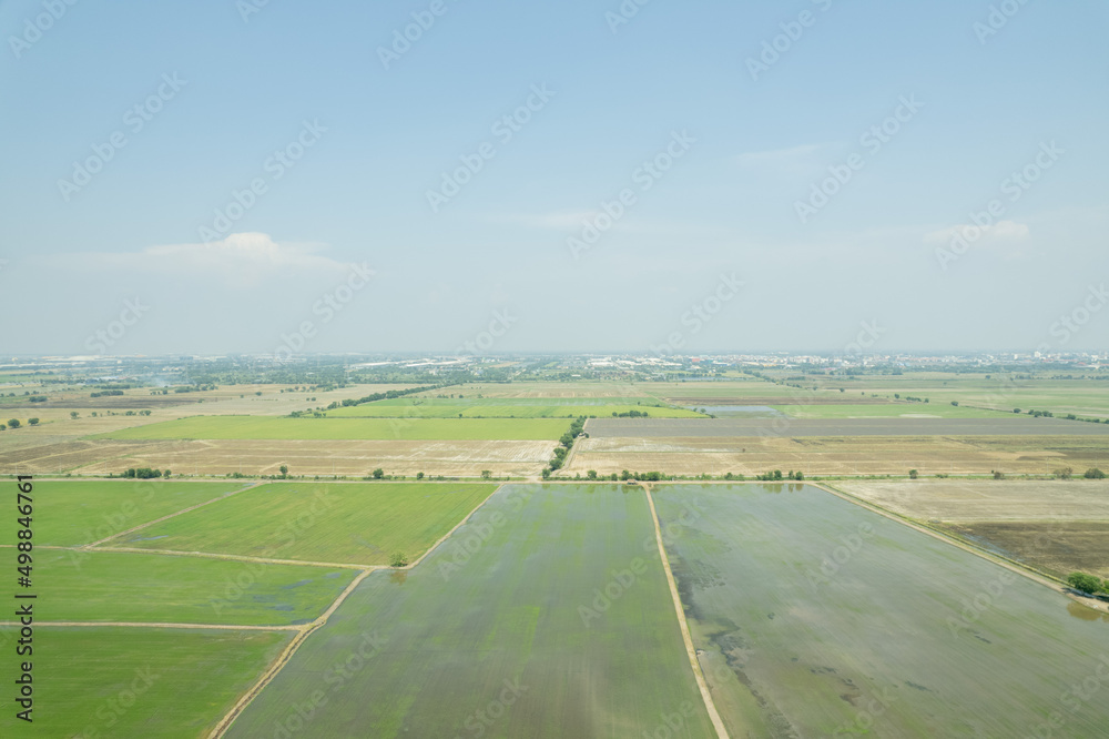aerial view from flying drone of Field rice with landscape green pattern nature background, top view field rice