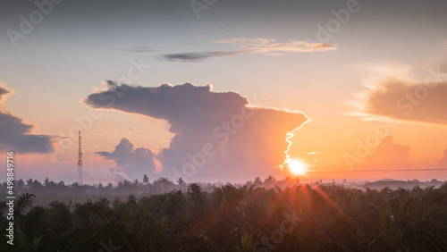 Indonesia palm oil plantation with a single road during golden sunrise