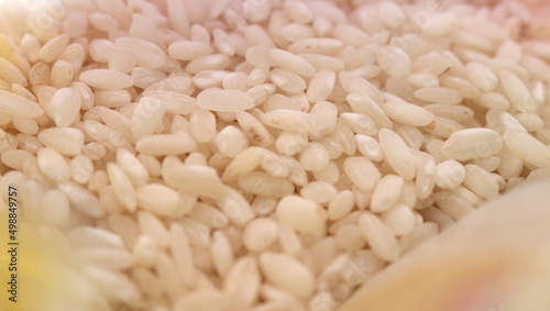 Arroz cru para fazer risoto, textura de arroz cru, detalhes do arroz photo