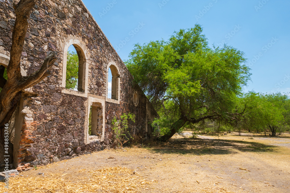 anciento ruins, windows and tree