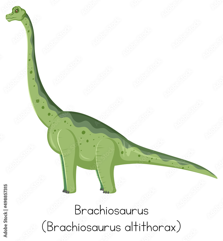Fototapeta premium Brachiosaurus in green color