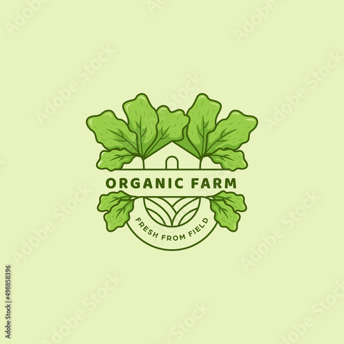 organic green lettuce farm logo icon monoline line badge emblem style