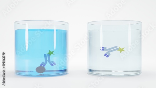 3D illustration of an immunoassay method. Schematic of Direct enzyme-linked immunosorbent assay (ELISA) format. The results show positive and negative on the left and right, respectively. photo