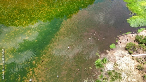 The best of Peru: Huasao Wetlands in Cusco - Quispicanchi  photo