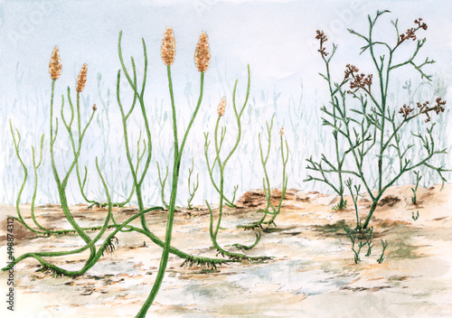 Devonian plants (Aglaophyton and Psilophyton). Watercolor on paper. photo