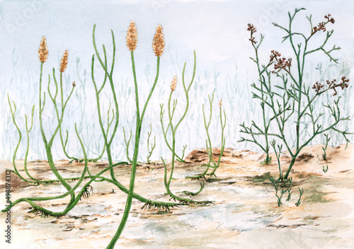 Devonian plants (Aglaophyton and Psilophyton). Watercolor on paper.
