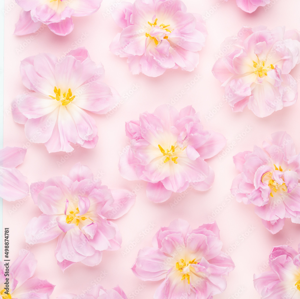 Pink tulips blossom pattern on pastel background. Pink tulips blossom pattern on pastel background.
