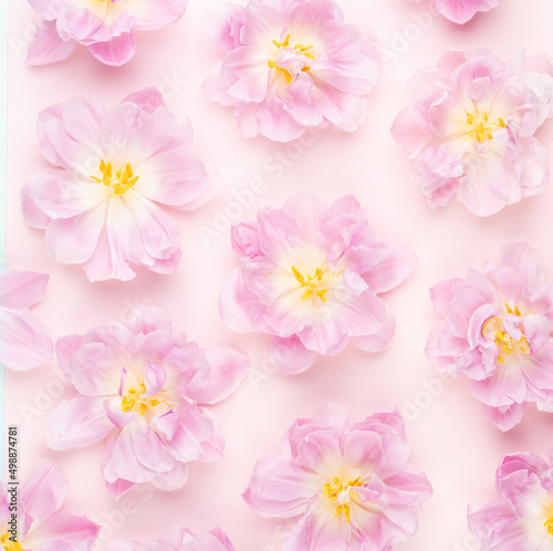 Wallpaper Mural Pink tulips blossom pattern on pastel background. Torontodigital.ca