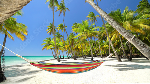 Fototapeta Naklejka Na Ścianę i Meble -  hammock at the coconut palms
