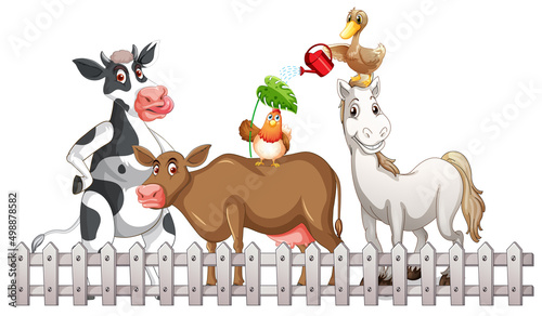Farm animals on white background
