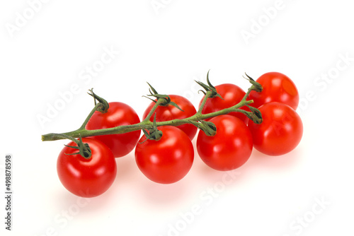 Ripe tomatoes on the branch