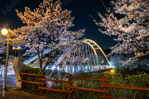 The beautiful night view of over bridge at spring times.