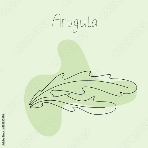 arugula