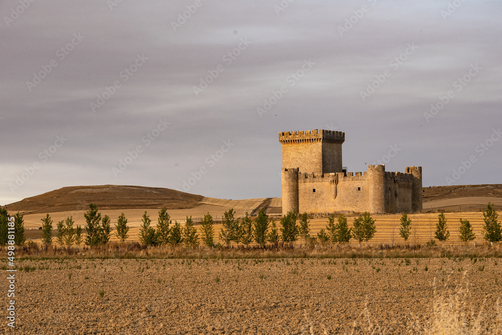 Villalonso medieval castle in the route of the castles in a sunny day, Castilla y León, Spain