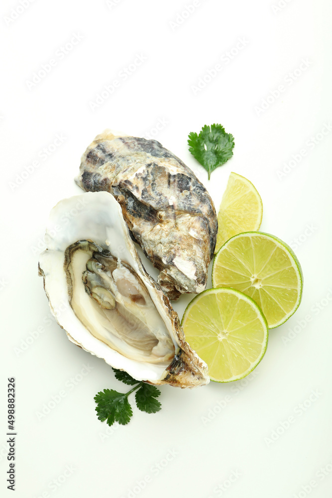 Concept of delicious seafood on white background, oyster